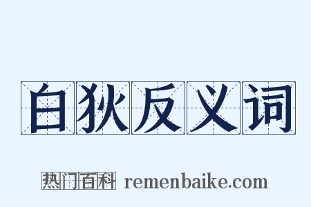 白狄反义词是什么意思的图片